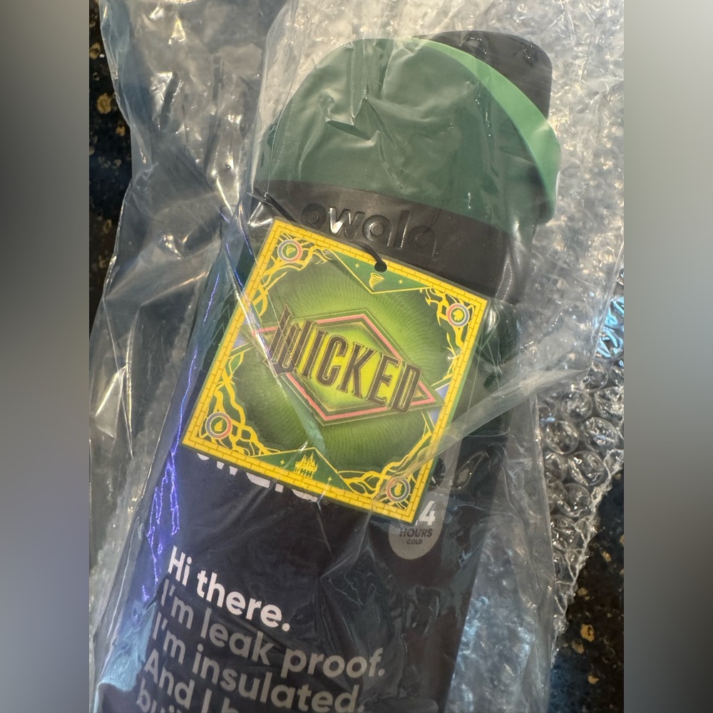 Wicked for Good Elphaba Owala Free Sip